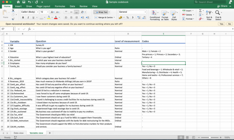 How to Code a Questionnaire in Microsoft Excel (A Practical Guide ...