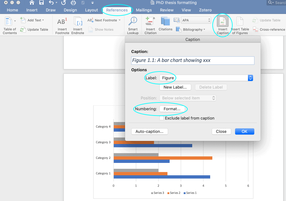 How to insert captions and numbers for figures.