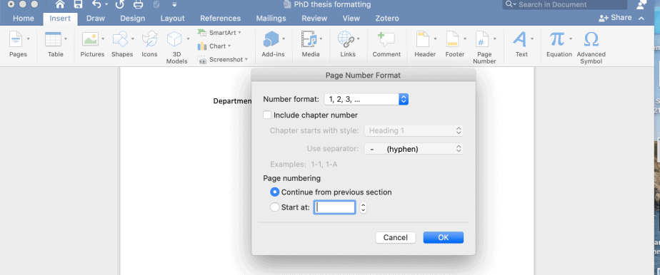 How to insert different page number formats into a Microsoft Word document.