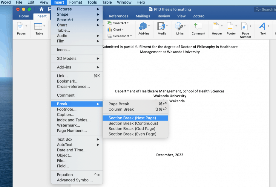 how to format a dissertation in word