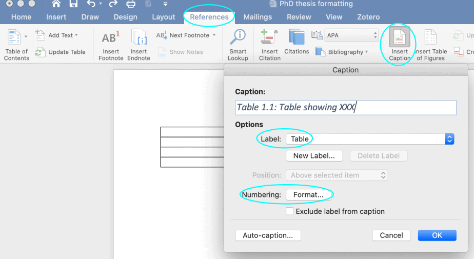 How to insert captions and numbers for tables. 