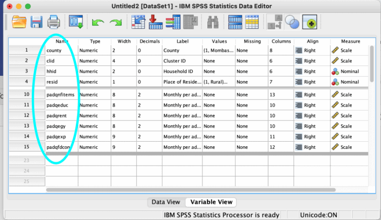 SPSS Tutorial #3: Data Modification In SPSS - Resourceful Scholars' Hub