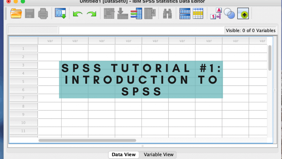 SPSS Tutorial 1 Introduction to SPSS Resourceful Scholars Hub