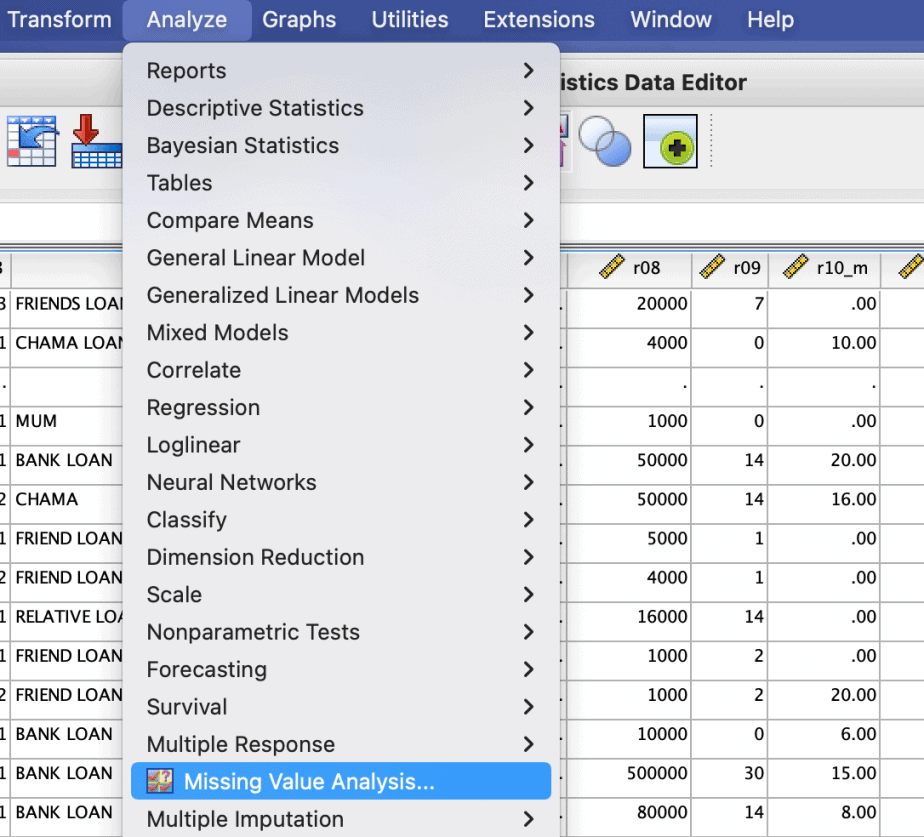 assignment using spss